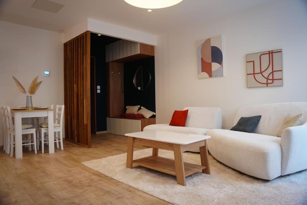Bel Appartement Centre-Ville 圣艾蒂安 外观 照片
